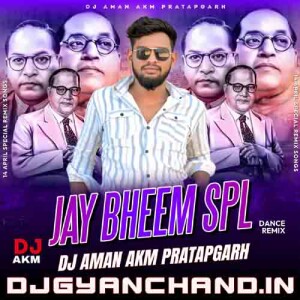 Bhim Mera No1 Hai Jai Bhim Jai Bharat [ Chamar Junction ] Dj Aman Akm
